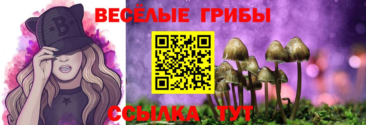 Галлюциногенные грибы GOLDEN TEACHER Приморско-Ахтарск